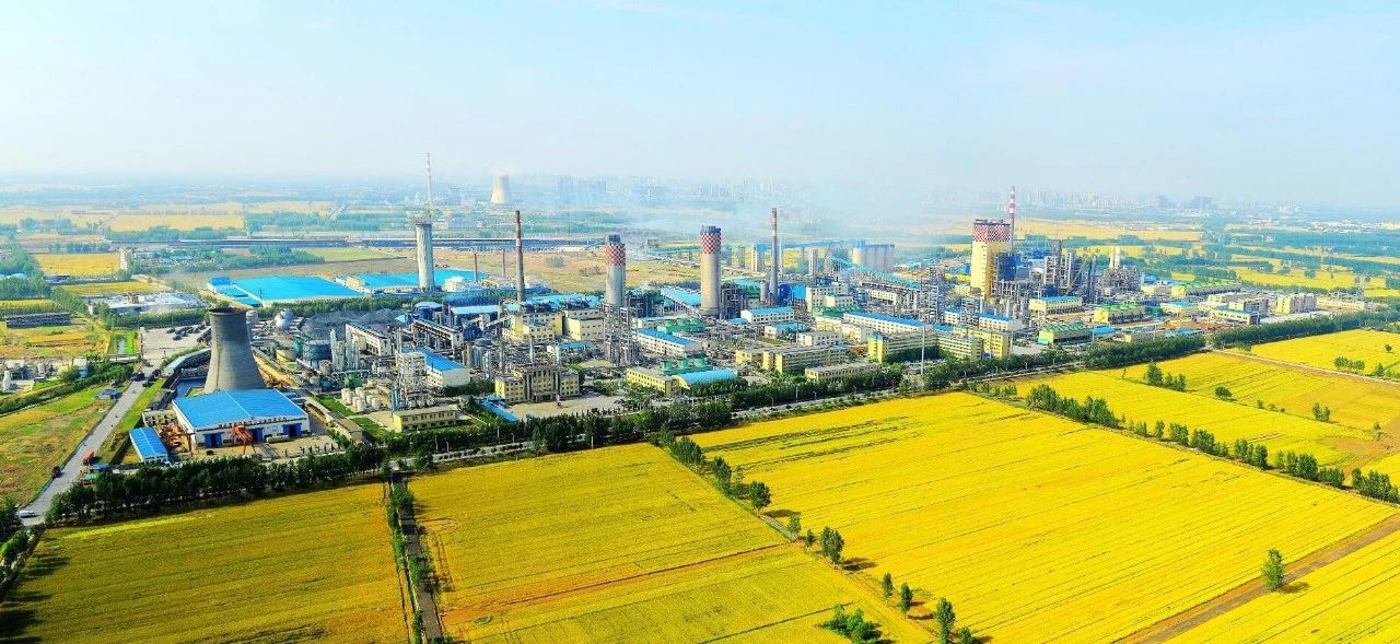 �����Ϲ����|������˲�䡿���Ϲ����|������ѧ��ҵ���Ž���50����������ģ�