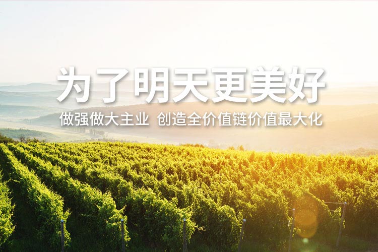 ���Ϲ����|����