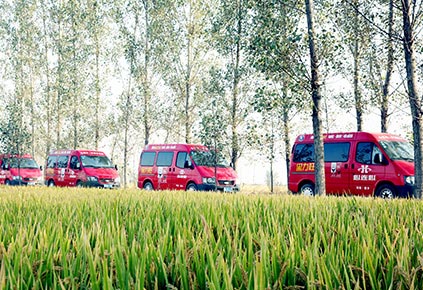 ���Ϲ����|����