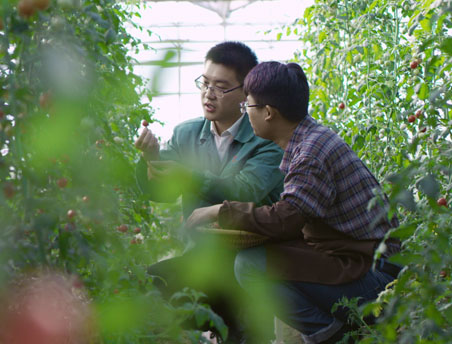 ���Ϲ����|����