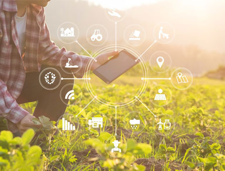 ���Ϲ����|����