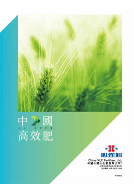 ���Ϲ����|����