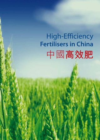 ���Ϲ����|����