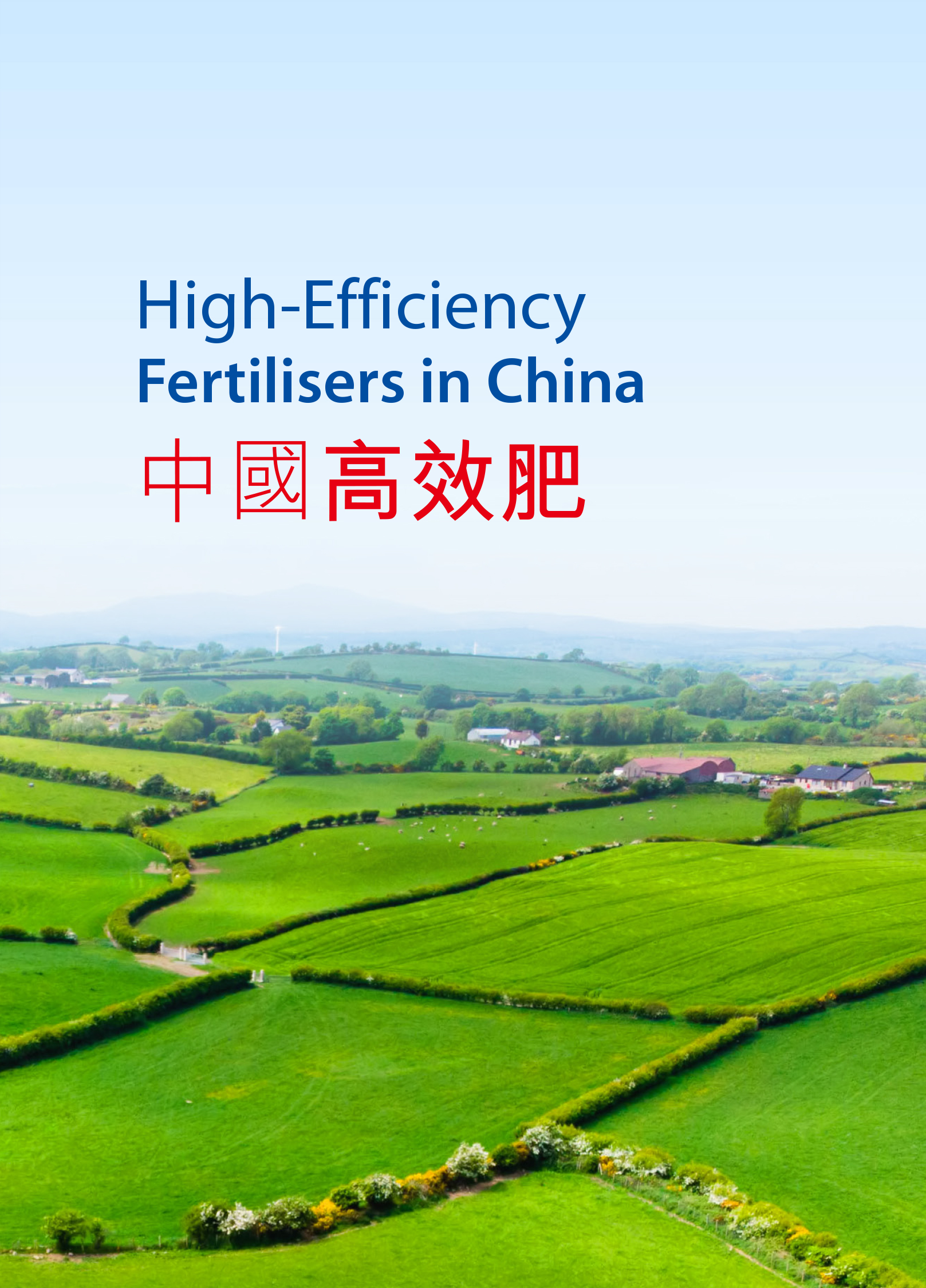 ���Ϲ����|����