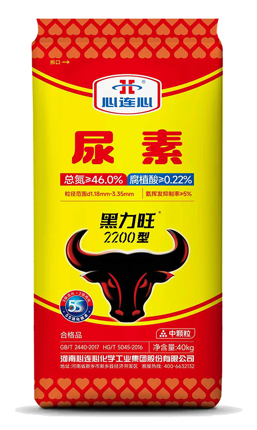 ���Ϲ����|����