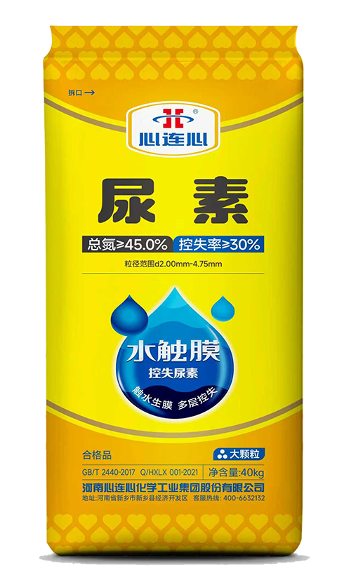 ���Ϲ����|����