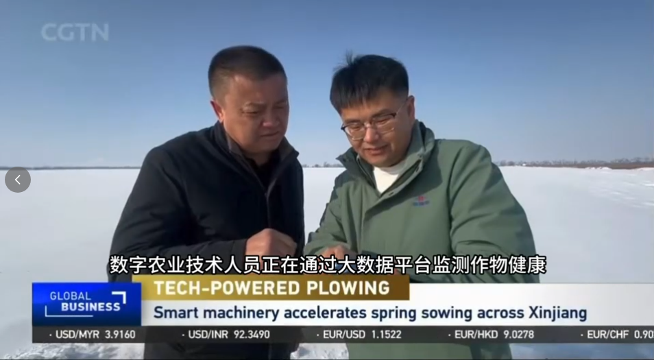 ���Ϲ����|����