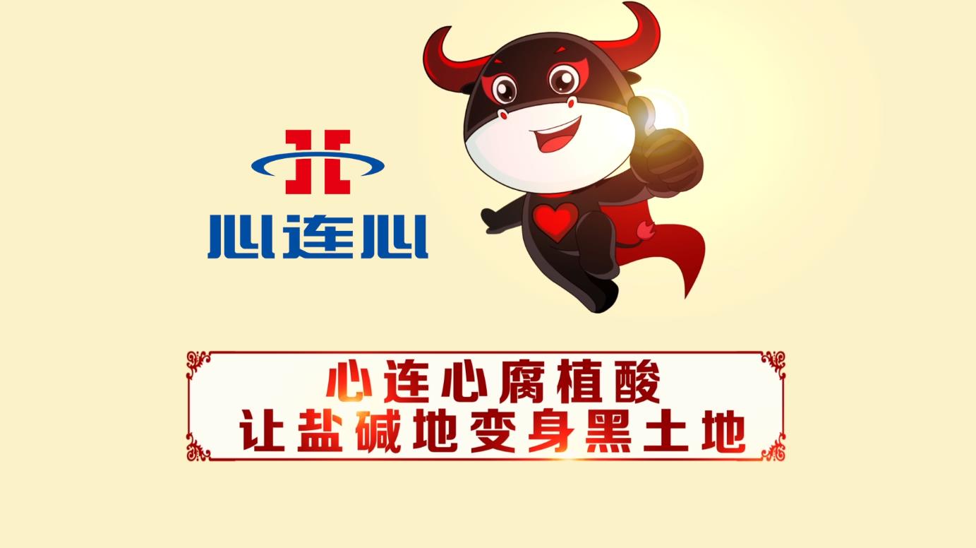 ���Ϲ����|����