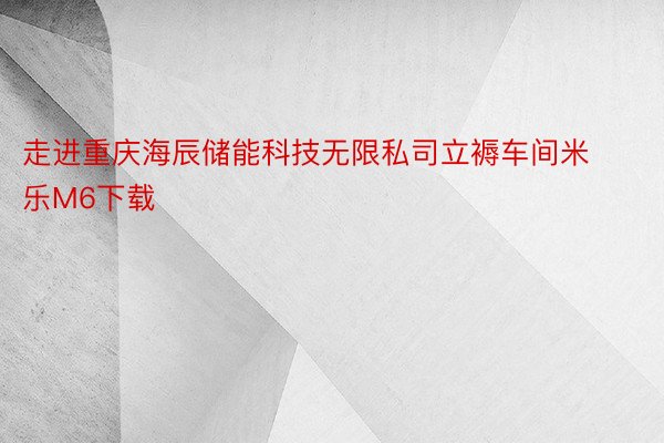 走进重庆海辰储能科技无限私司立褥车间米乐M6下载