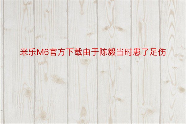米乐M6官方下载由于陈毅当时患了足伤